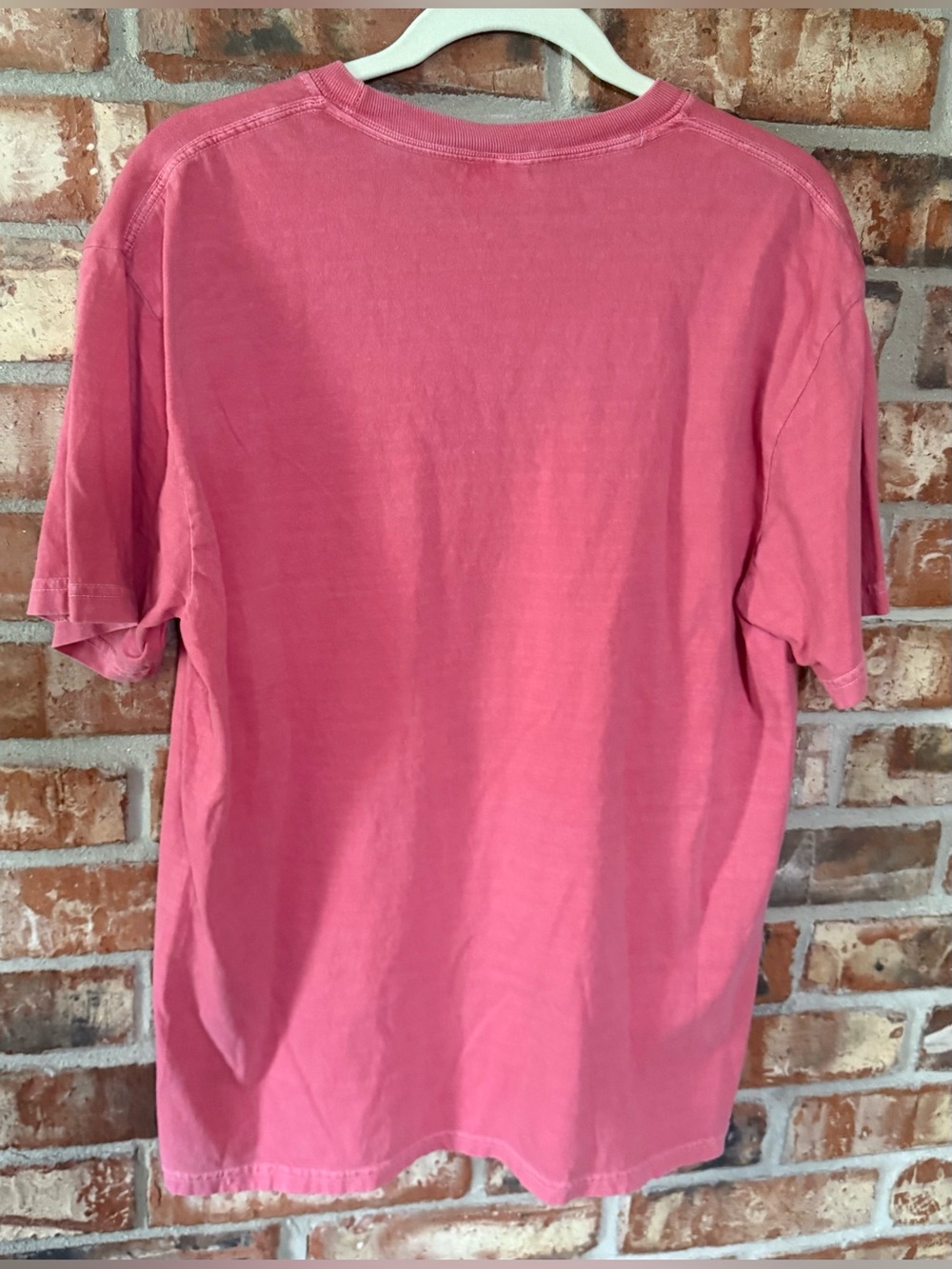 Comfort Colors Watermelon Strawberry Graphic Tee - Picture 3 of 6